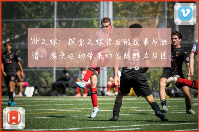 MF足球：探索足球背后的故事与激情，感受运动带来的无限魅力与团结精神
