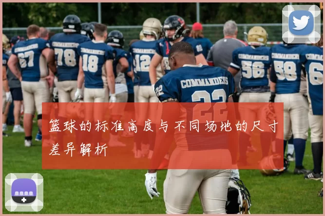 篮球的标准高度与不同场地的尺寸差异解析