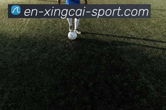 企业概况